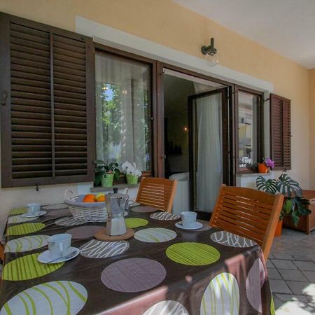 Apartment Sanja Novigrad Istria Dış mekan fotoğraf