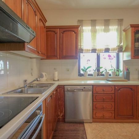 Apartment Sanja Novigrad Istria Dış mekan fotoğraf