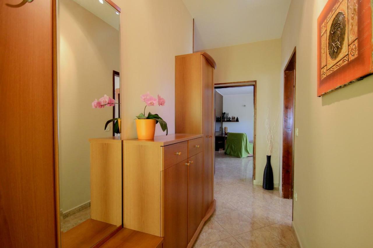 Apartment Sanja Novigrad Istria Dış mekan fotoğraf