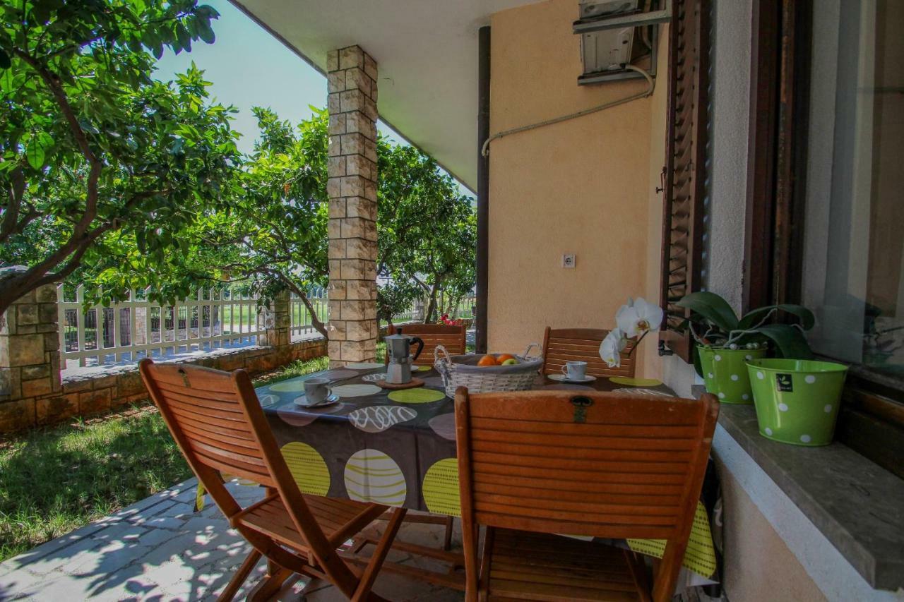 Apartment Sanja Novigrad Istria Dış mekan fotoğraf