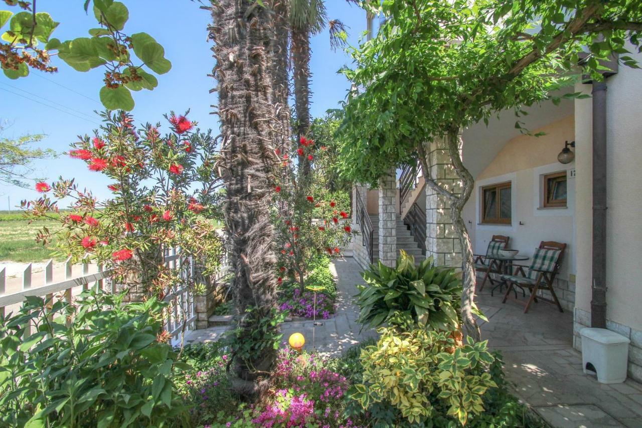 Apartment Sanja Novigrad Istria Dış mekan fotoğraf